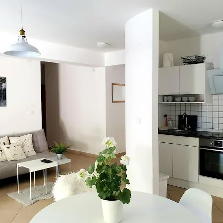 Garden & Pool Bbq Spacious By Rt Kamenjak 普莱曼图拉