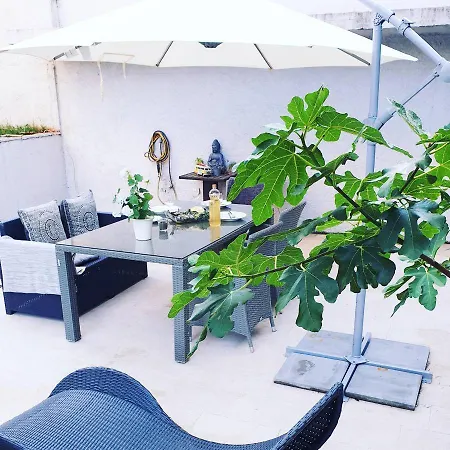 Garden & Pool Bbq Spacious By Rt Kamenjak Apartment *